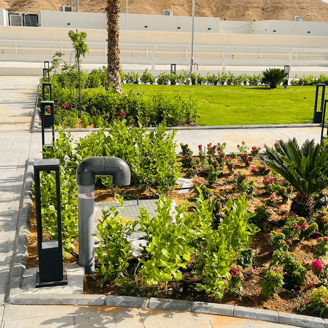 Landscaping