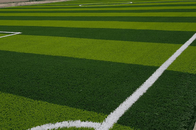 ARTIFICIAL GRASS example 1
