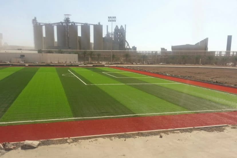 ARTIFICIAL GRASS example 5