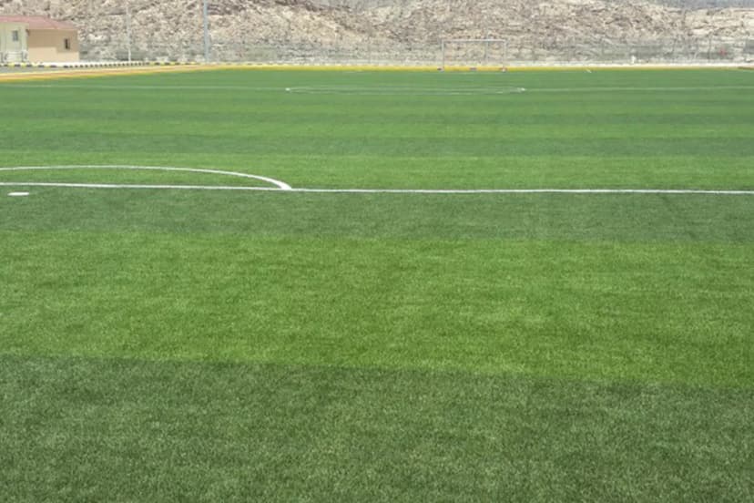 ARTIFICIAL GRASS example 6