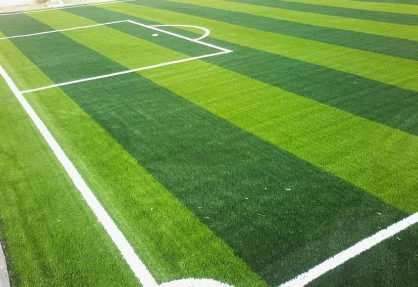ARTIFICIAL GRASS example 7