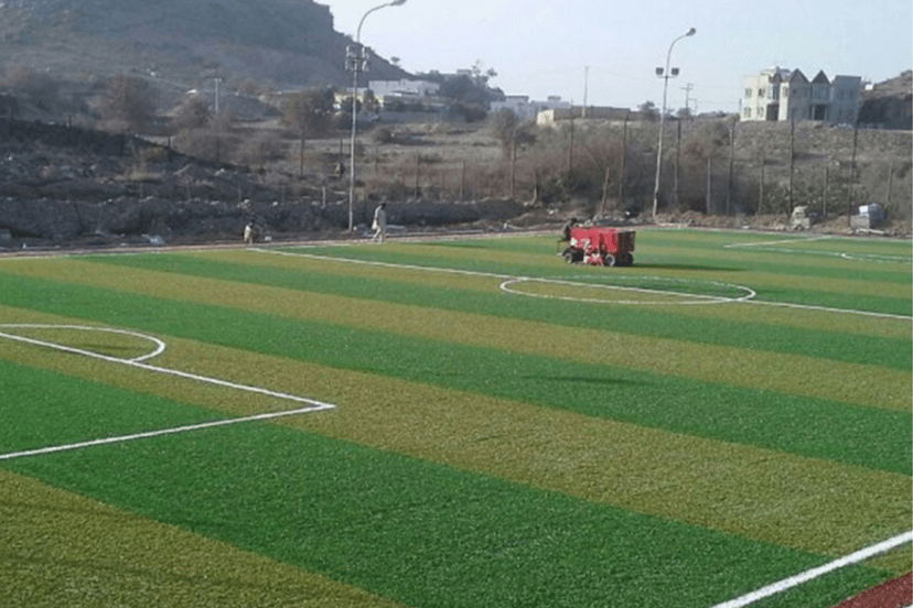 ARTIFICIAL GRASS example 8