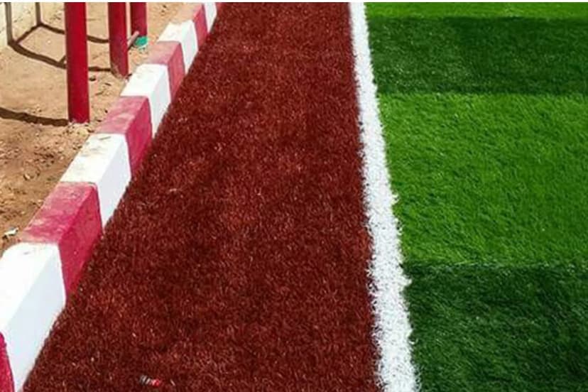ARTIFICIAL GRASS example 9