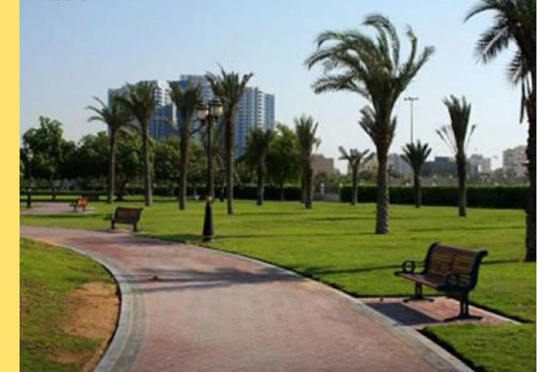 LANDSCAPING SERVICE background